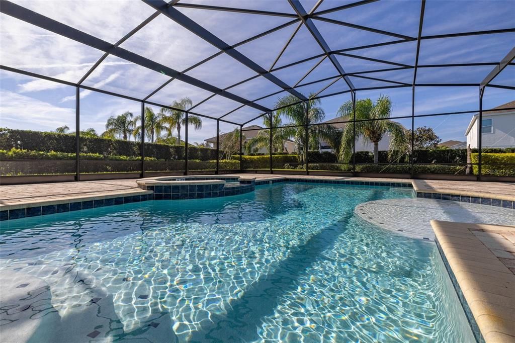 Extended Paved Pool Deck with Cage