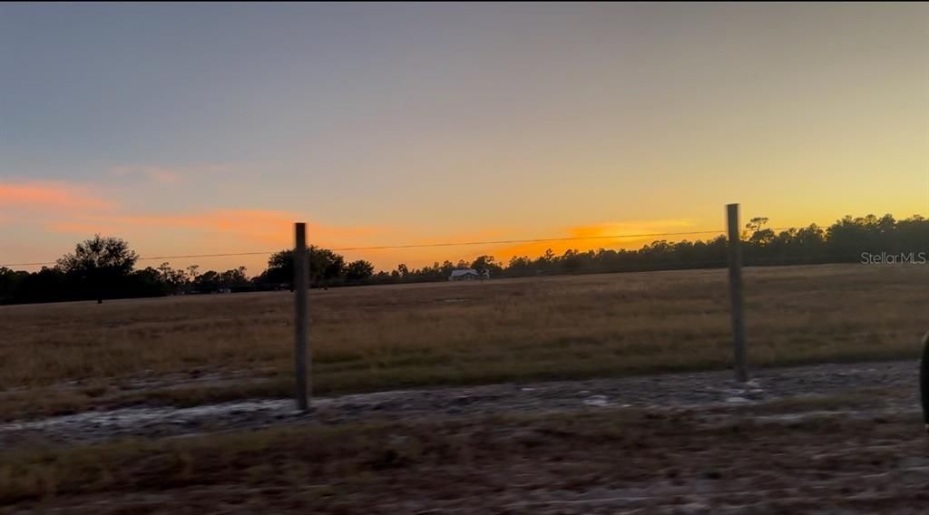 Photo taken from dirt road to general area of property.