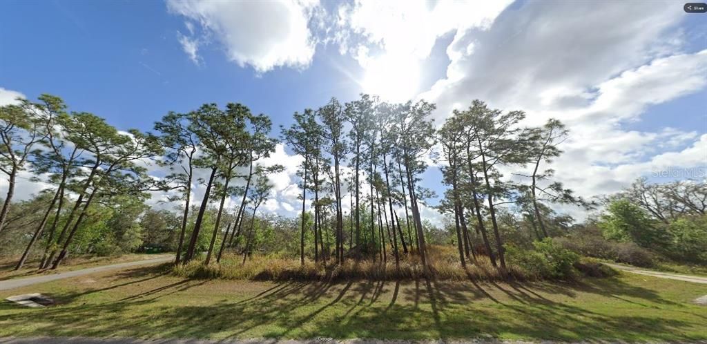 For Sale: $49,000 (1.26 acres)