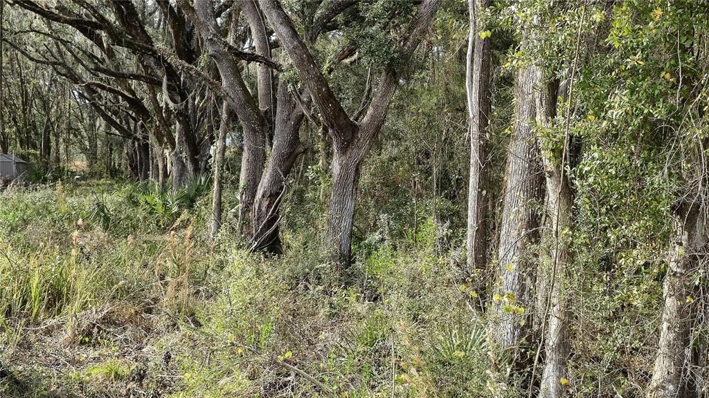 Vendido Recientemente: $15,000 (0.23 acres)