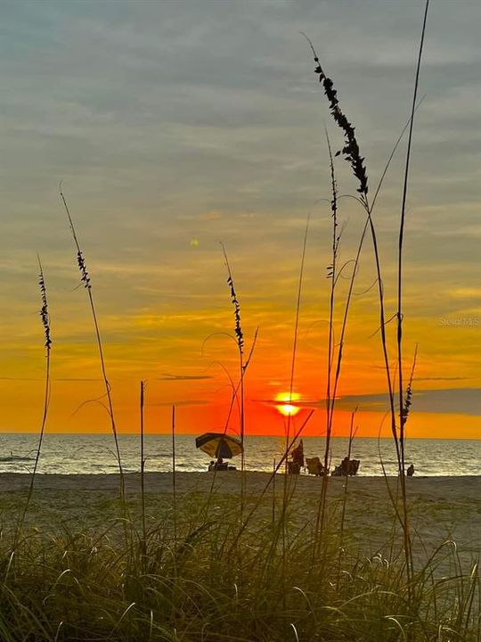 SUNSET ON OUR BEACHES - YOURS TO ENJOY!