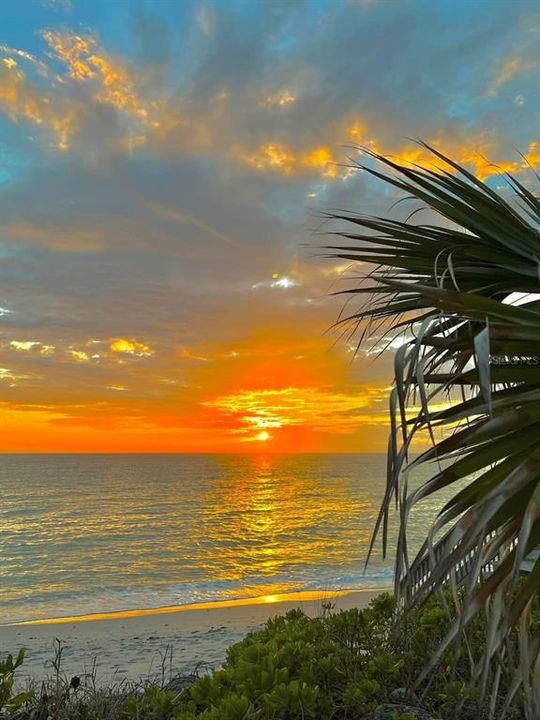 SUNSET ON OUR BEACHES - YOURS TO ENJOY!