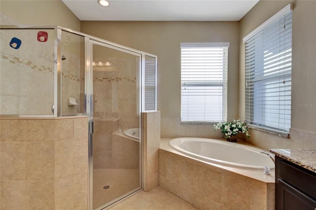 Master Bath walk in shower and separate Garden Tub