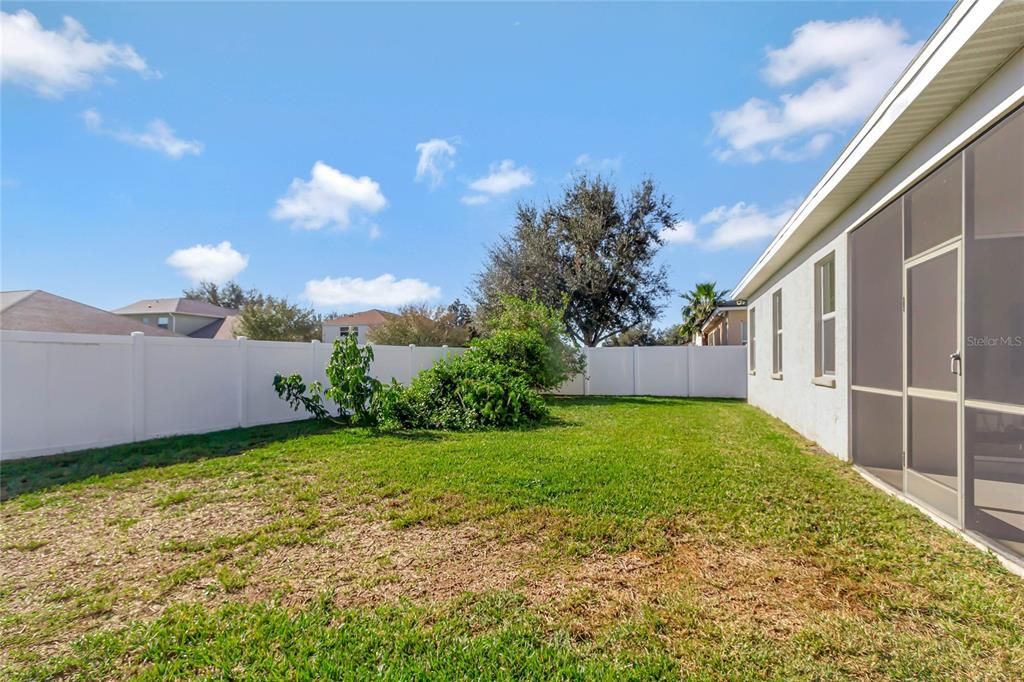 Rear view vinyl privacy fence