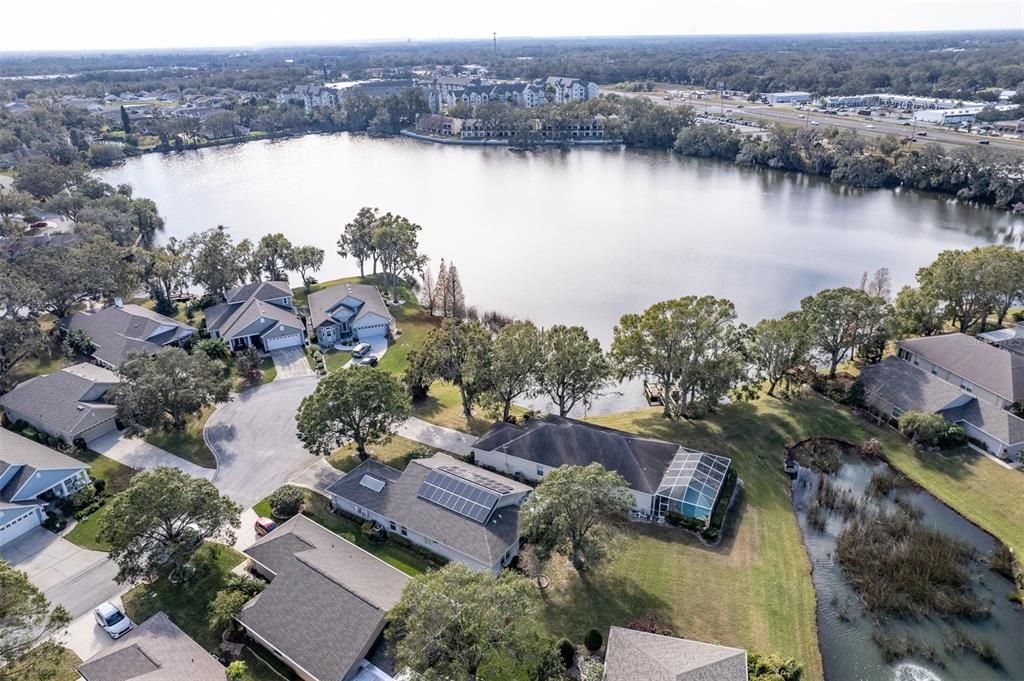 Aerial views of neighborhood