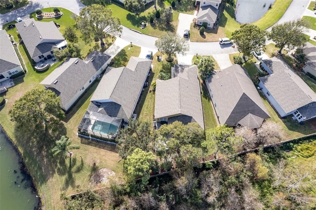 Aerial views of neighborhood