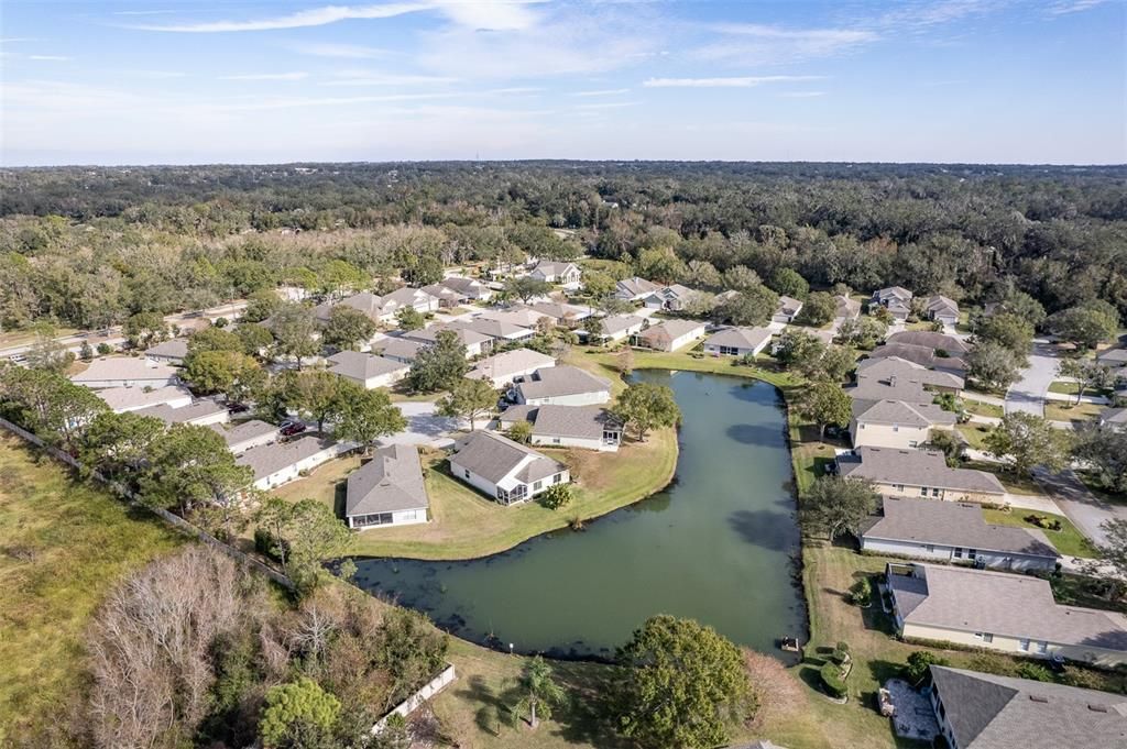 Aerial views of neighborhood