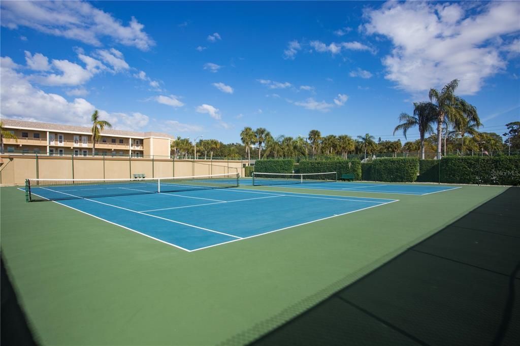 Pickleball court