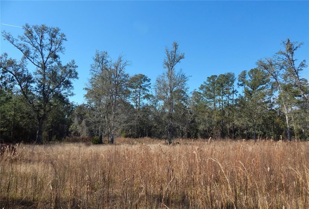 For Sale: $112,000 (1.06 acres)