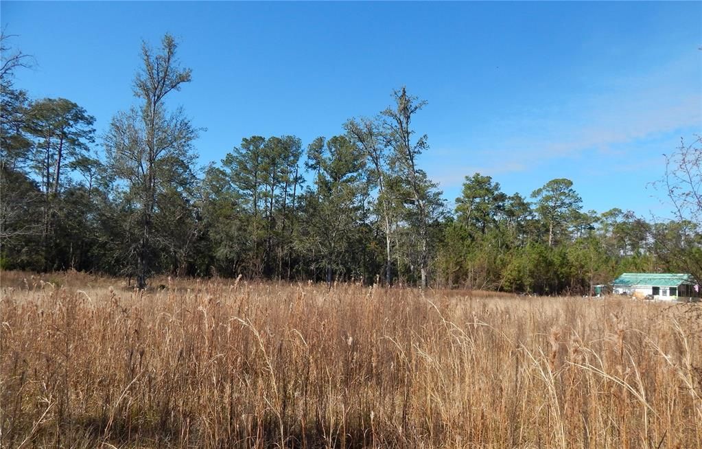 For Sale: $112,000 (1.06 acres)