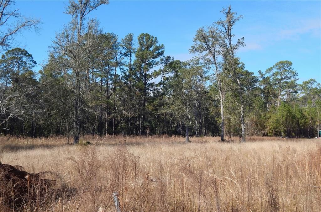 For Sale: $112,000 (1.06 acres)