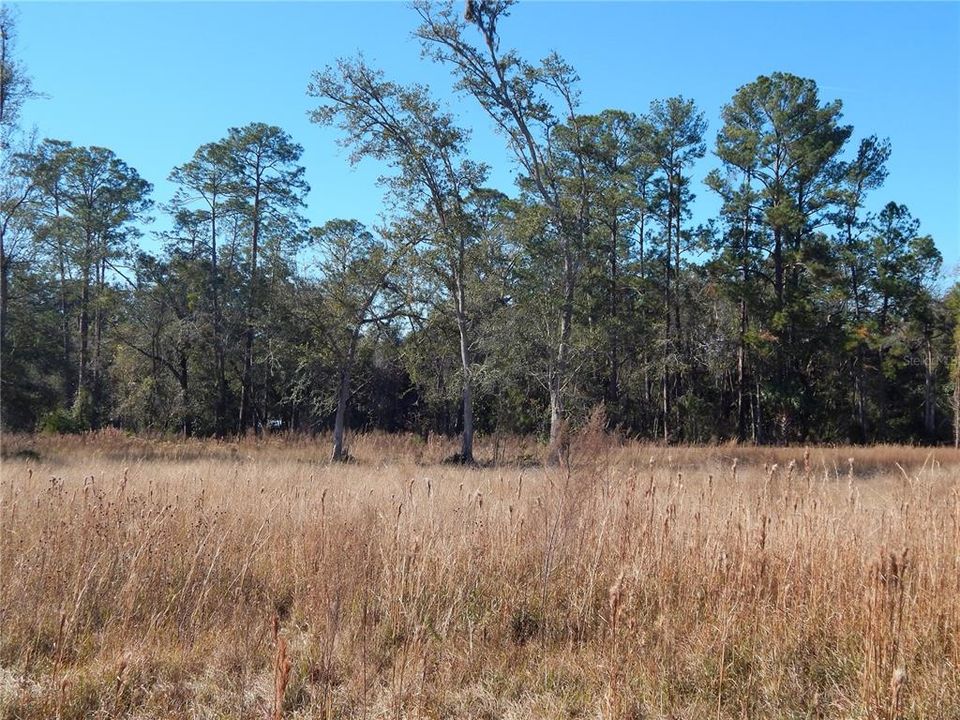 For Sale: $112,000 (1.06 acres)