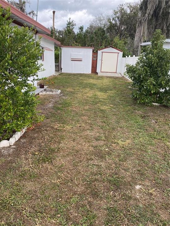 side yard with 2 of the 3 sheds