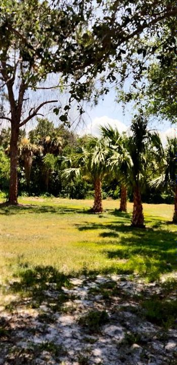 На продажу: $65,000 (0.27 acres)