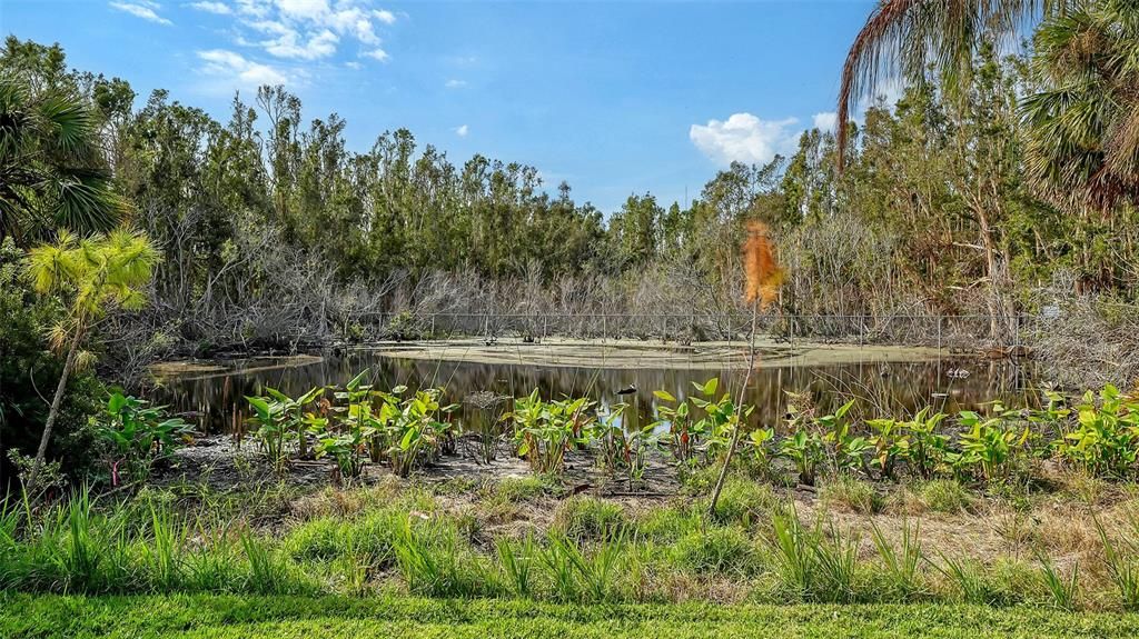 Private back yard w views over pond & preserve.