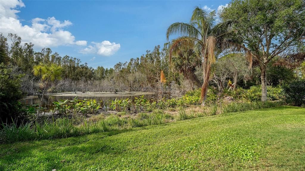 Private back yard w views over pond & preserve.