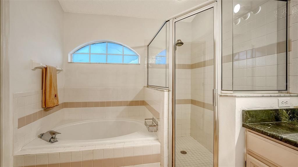 Master bath w bath tub & walk-in shower