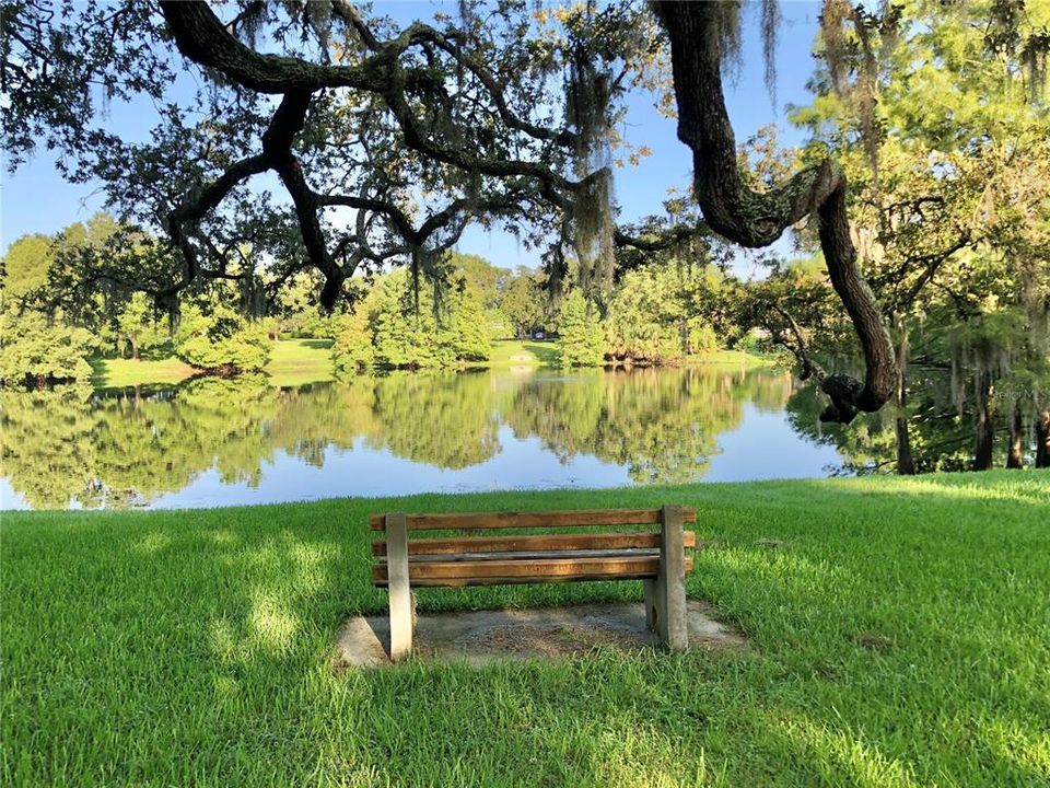 Picnics in the park