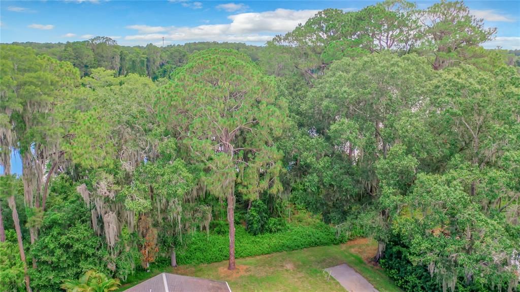 待售: $220,000 (0.98 acres)