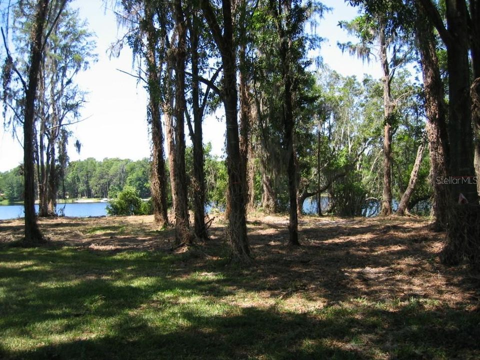 待售: $220,000 (0.98 acres)