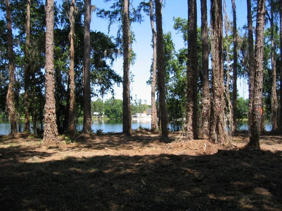 待售: $220,000 (0.98 acres)