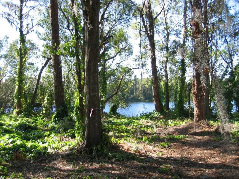 待售: $220,000 (0.98 acres)