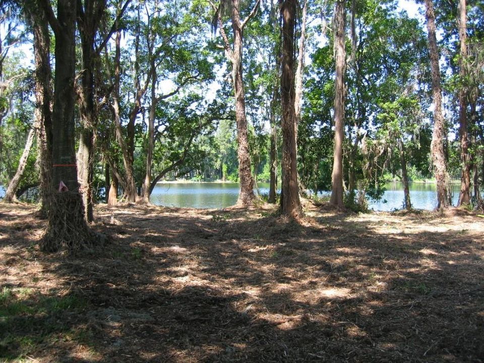 待售: $220,000 (0.98 acres)