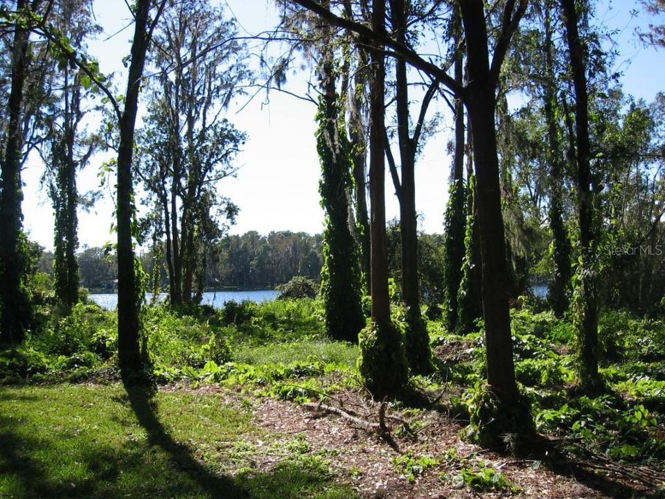 待售: $220,000 (0.98 acres)