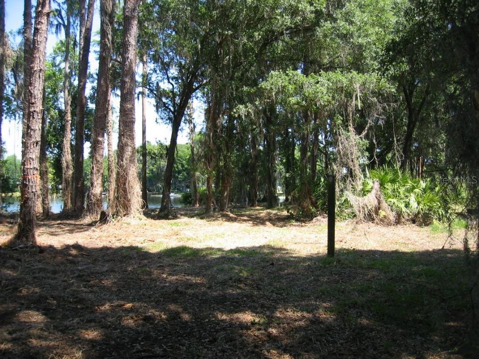 待售: $220,000 (0.98 acres)