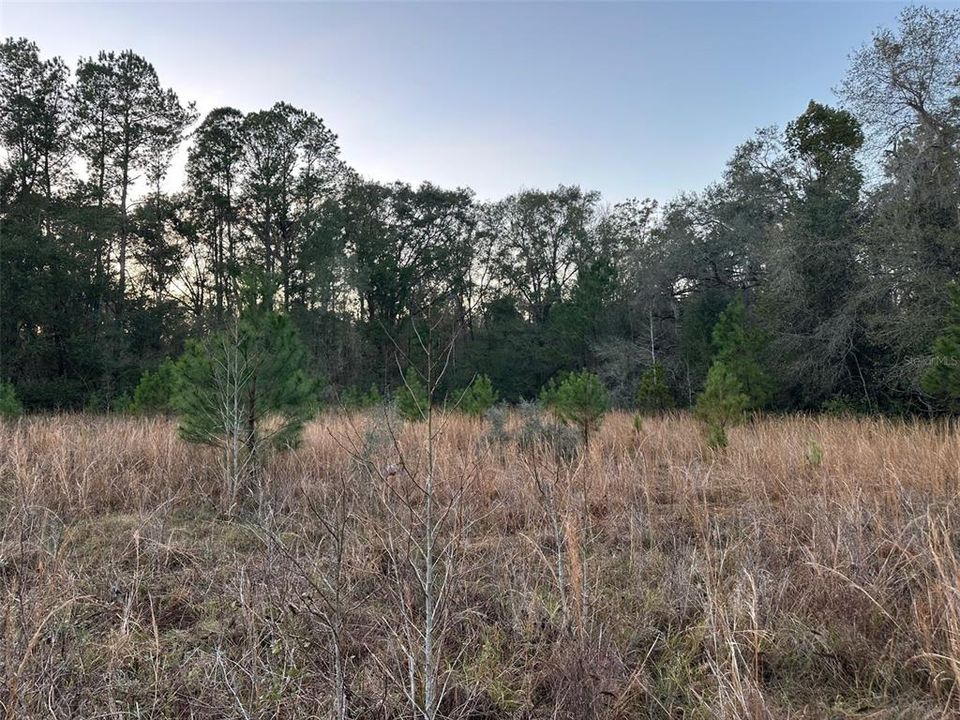 Под контрактом: $675,000 (40.00 acres)