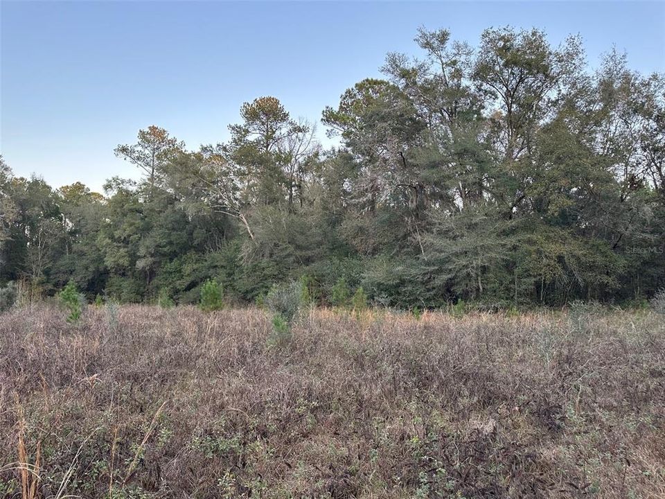 Под контрактом: $675,000 (40.00 acres)