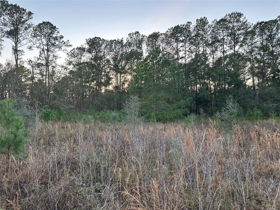 Под контрактом: $675,000 (40.00 acres)