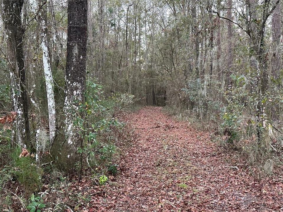 Под контрактом: $675,000 (40.00 acres)