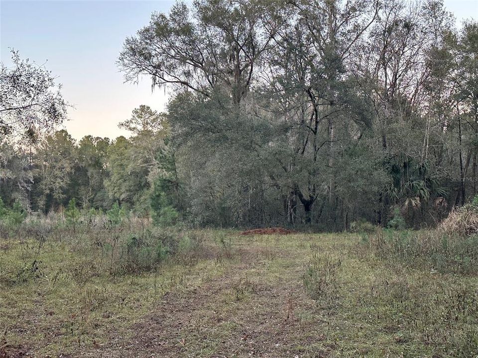 Под контрактом: $675,000 (40.00 acres)