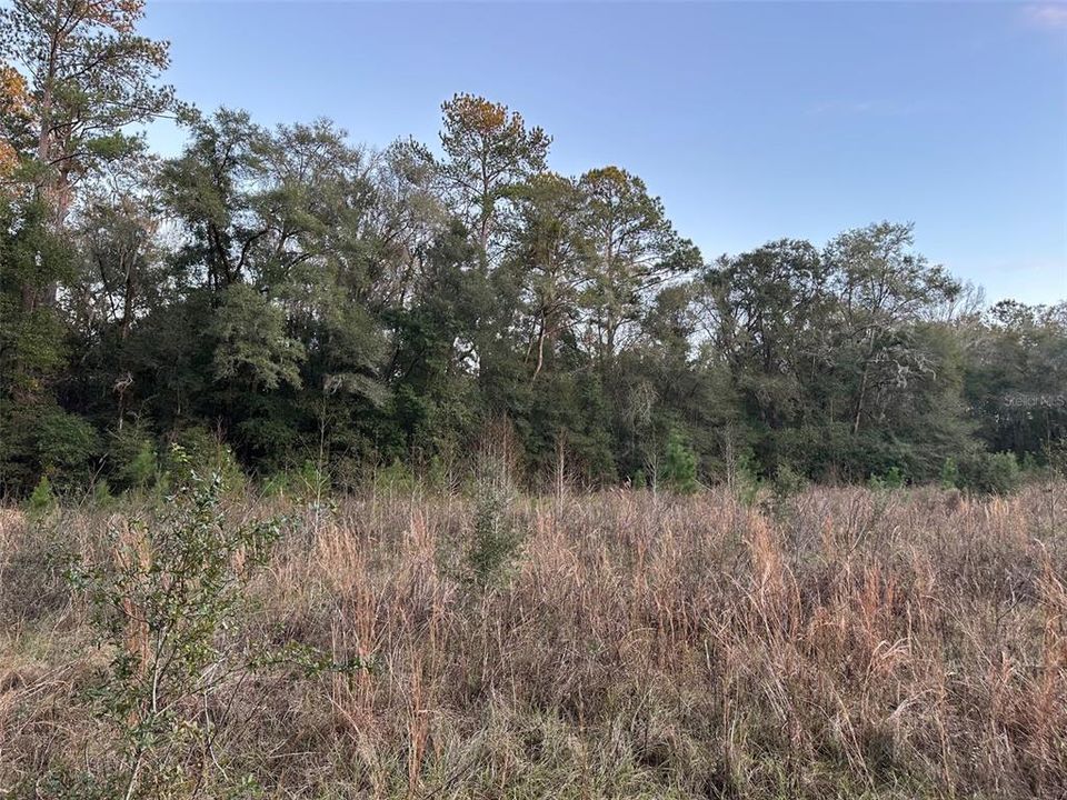 Под контрактом: $675,000 (40.00 acres)