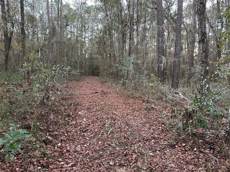 Под контрактом: $675,000 (40.00 acres)