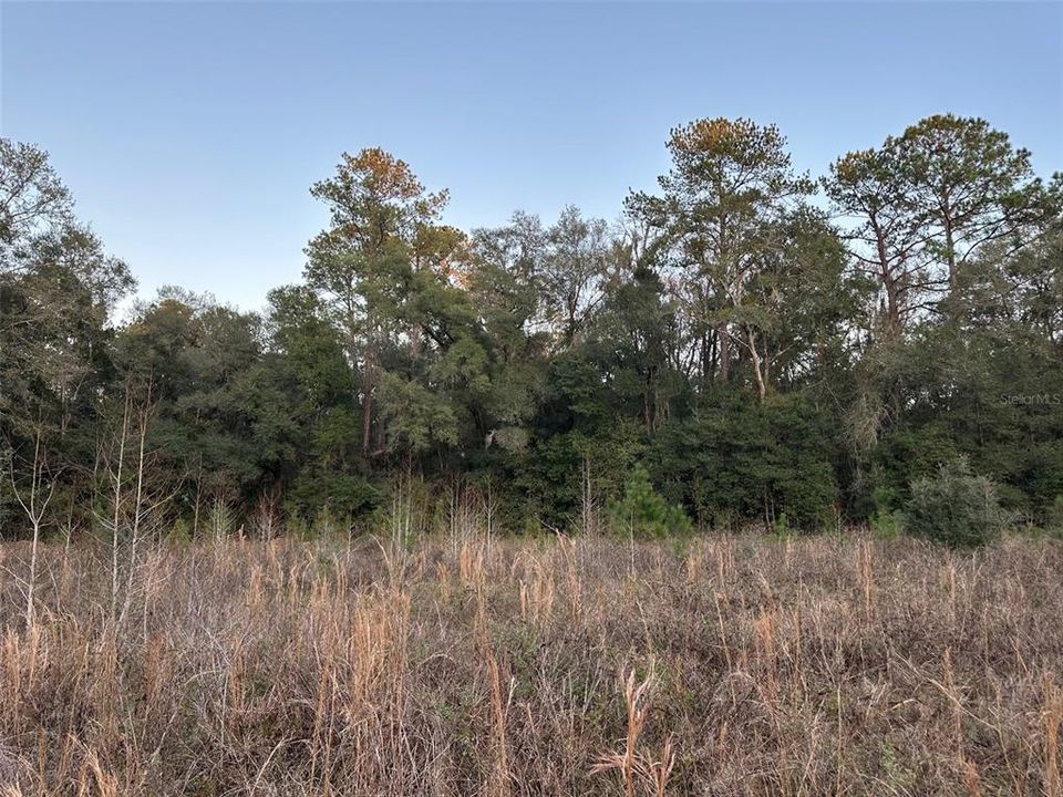 Под контрактом: $675,000 (40.00 acres)