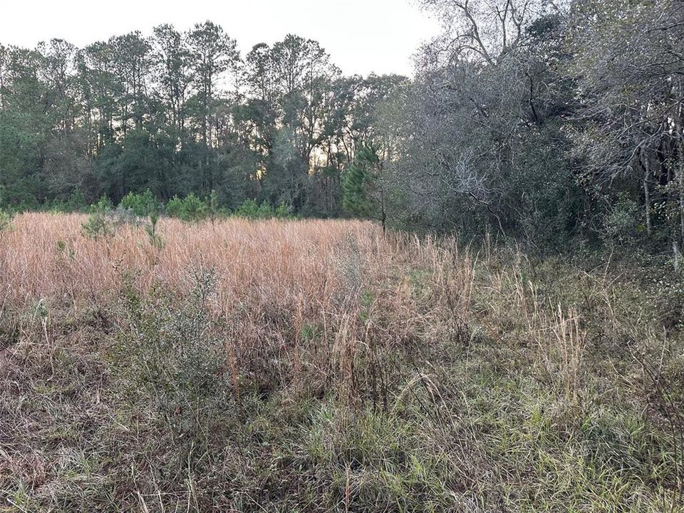 Под контрактом: $675,000 (40.00 acres)