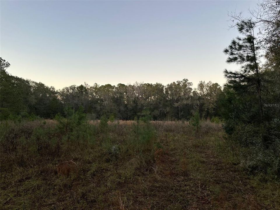 Под контрактом: $675,000 (40.00 acres)