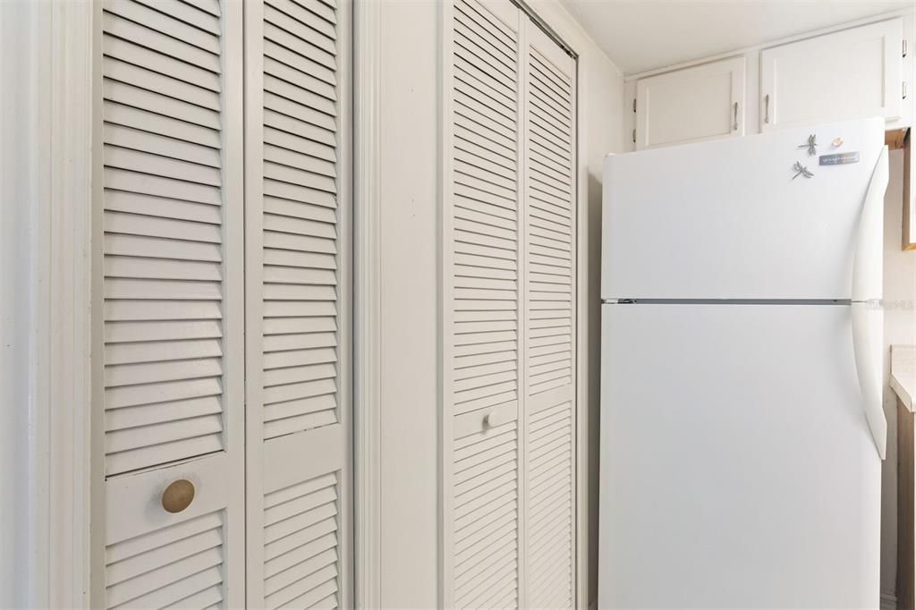 Pantry and Storage in Kitchen