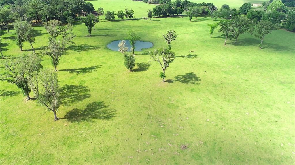 待售: $7,539,850 (2 贝兹, 2 浴室, 2044 平方英尺)