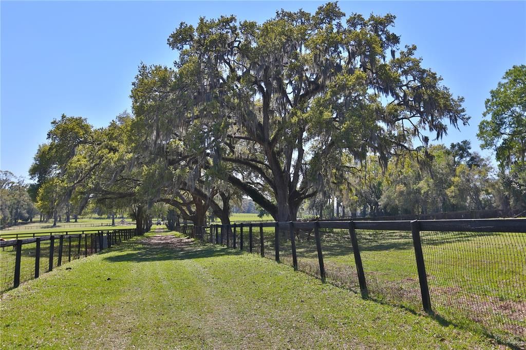 待售: $7,539,850 (2 贝兹, 2 浴室, 2044 平方英尺)