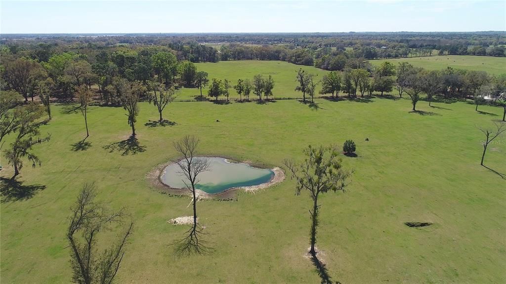 待售: $7,539,850 (2 贝兹, 2 浴室, 2044 平方英尺)