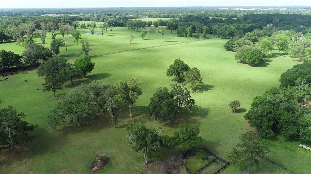 待售: $7,539,850 (2 贝兹, 2 浴室, 2044 平方英尺)