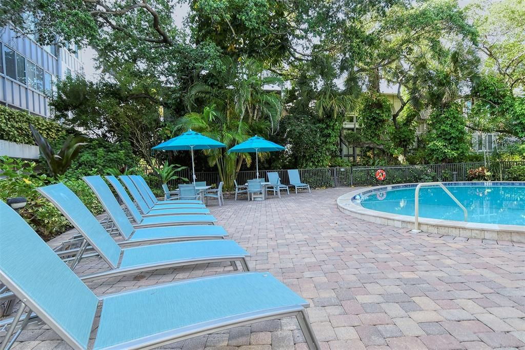 Bayside pool area