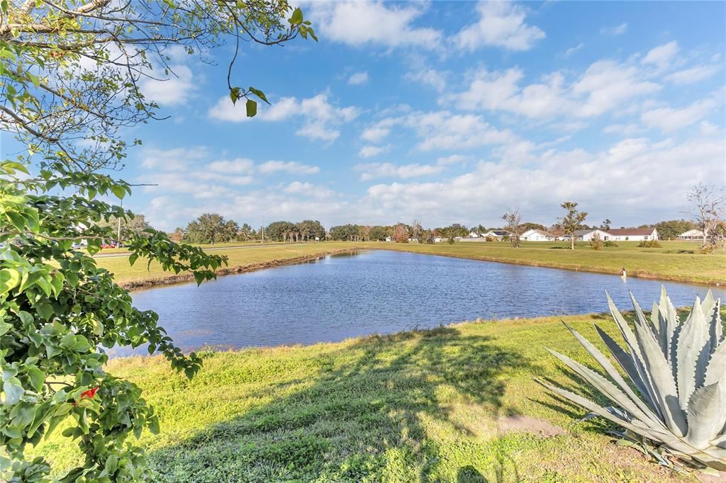 Backyard with Lakeview