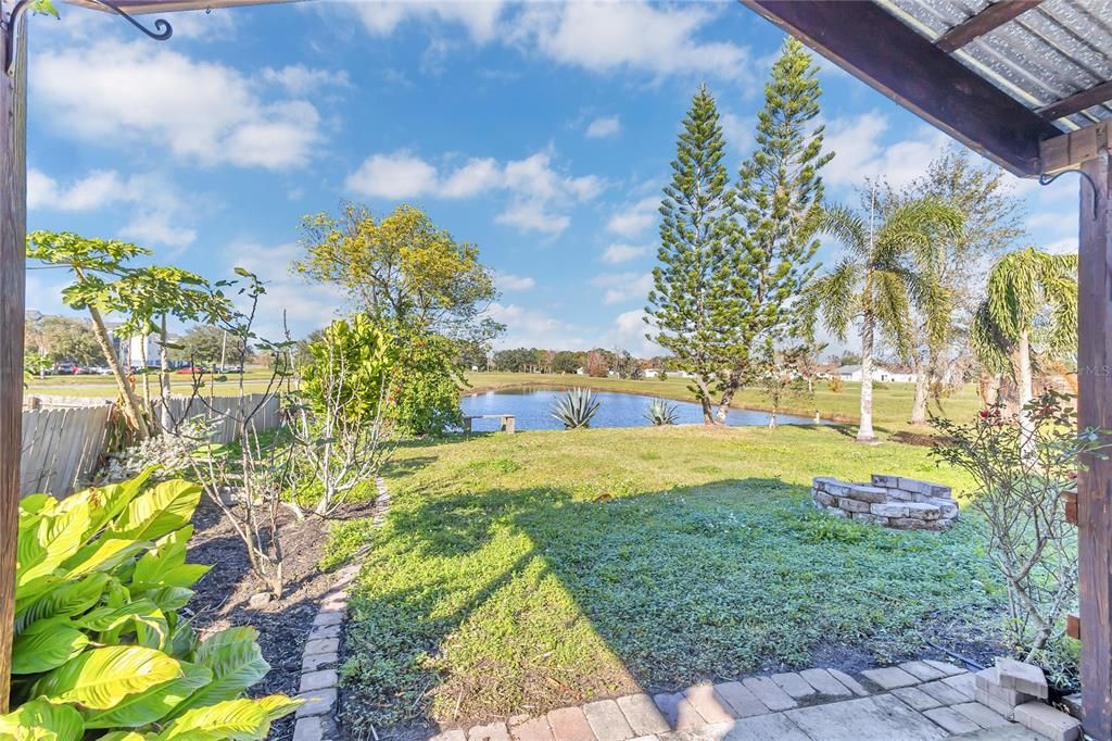 Backyard and Open Porch