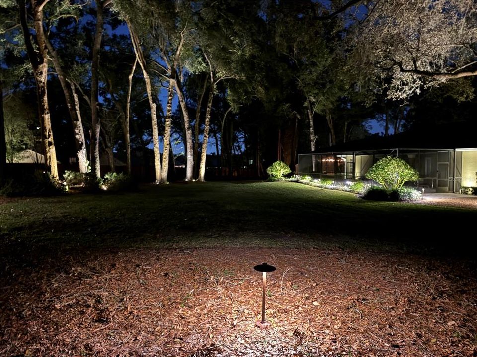 Backyard Professionally installed lighting