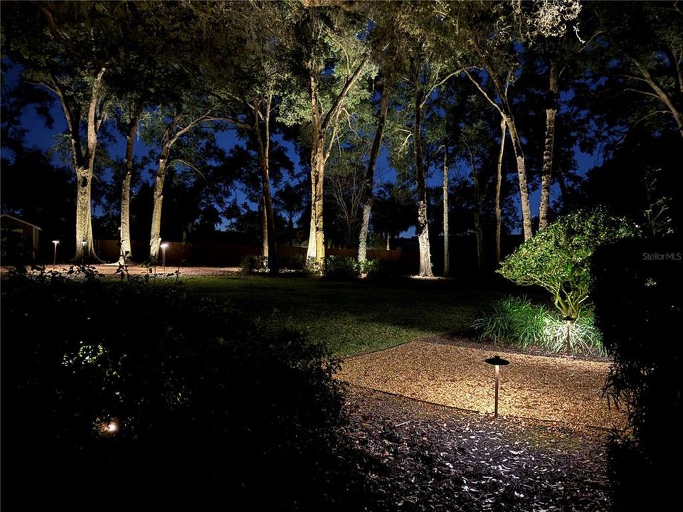 Backyard Professionally installed lighting