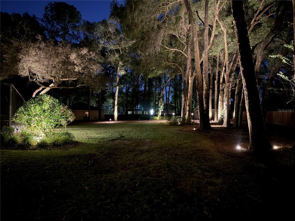 Backyard Professionally installed lighting